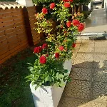 Panorama Hotel apartamentowy 3*