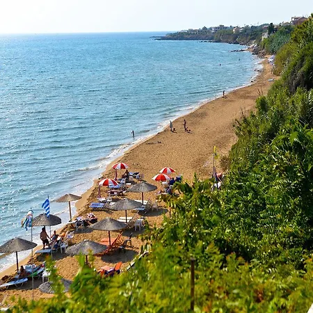 Panorama *